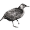 Weka